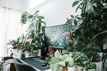 苏州论坛与天涯社区:网络碰撞的火花 第1张 苏州论坛与天涯社区:网络碰撞的火花 第1张